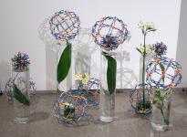 20 - Sharon Oikawa -- Hulse, Playfair and McGarry.jpg 7.5K